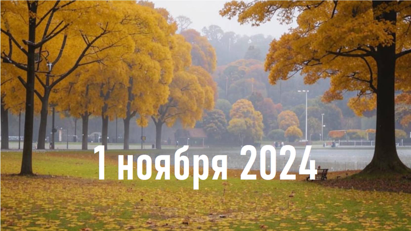 Что ждет 1 ноября 2024. Гороскоп