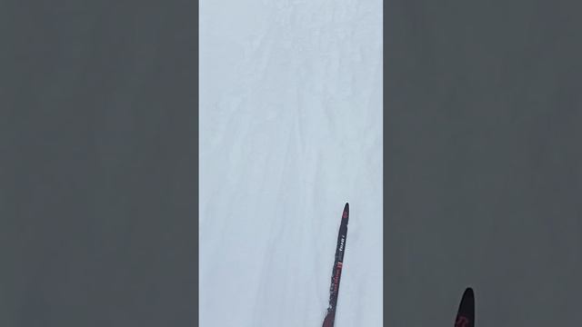 SKI TRAB часть 2