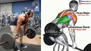 8 Best Exercise To  Lower Lats workout (V-TAPER)