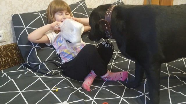 Распаковка с Алишки вместе с Молли✌️#распаковка #молли#сашкаулыбашка #кеды #моднаядевочка смотреть онлайн