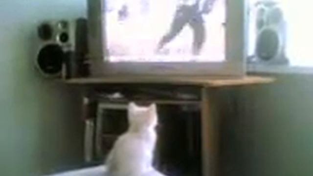 люблю боевики.3gp смотреть онлайн