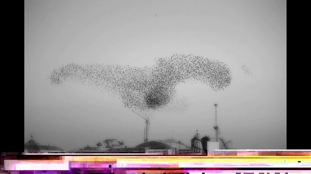 Iuly B - Sudor смотреть онлайн