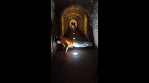 10 000 отжиманий