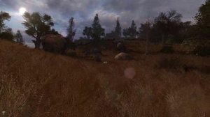 S.T.A.L.K.E.R - Vozvrashhenie v Zonu  -- Встретиться со Связным