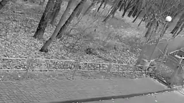 Гном в парке смотреть онлайн