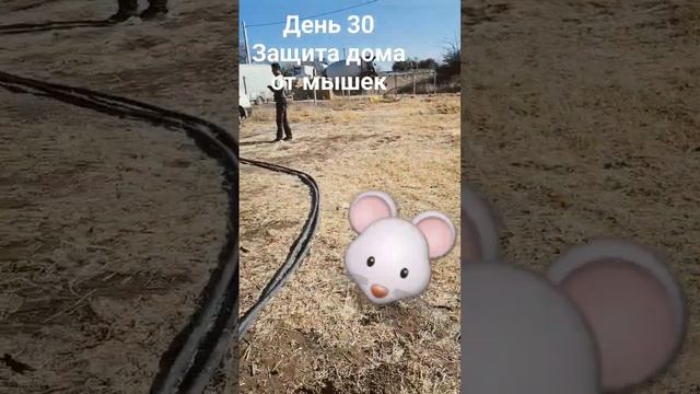 #ЗащитаДомаОтМышей #РусскаяКаркаснаяТехнология #ВадимМамаев #строительствовкрыму #купитьдомвкрыму смотреть онлайн