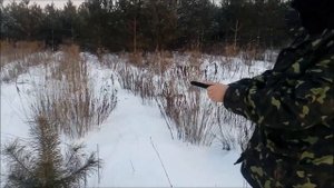 стартовий пістолет Екол Майор (Стартовый пистолет Ekol Major )