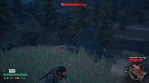 Орда Из Беар Крик в Days Gone