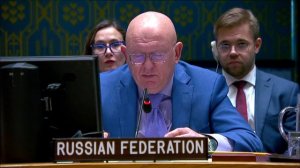 Statement by Permanent Representative Vassily Nebenzia at UNSC Briefing on Libya