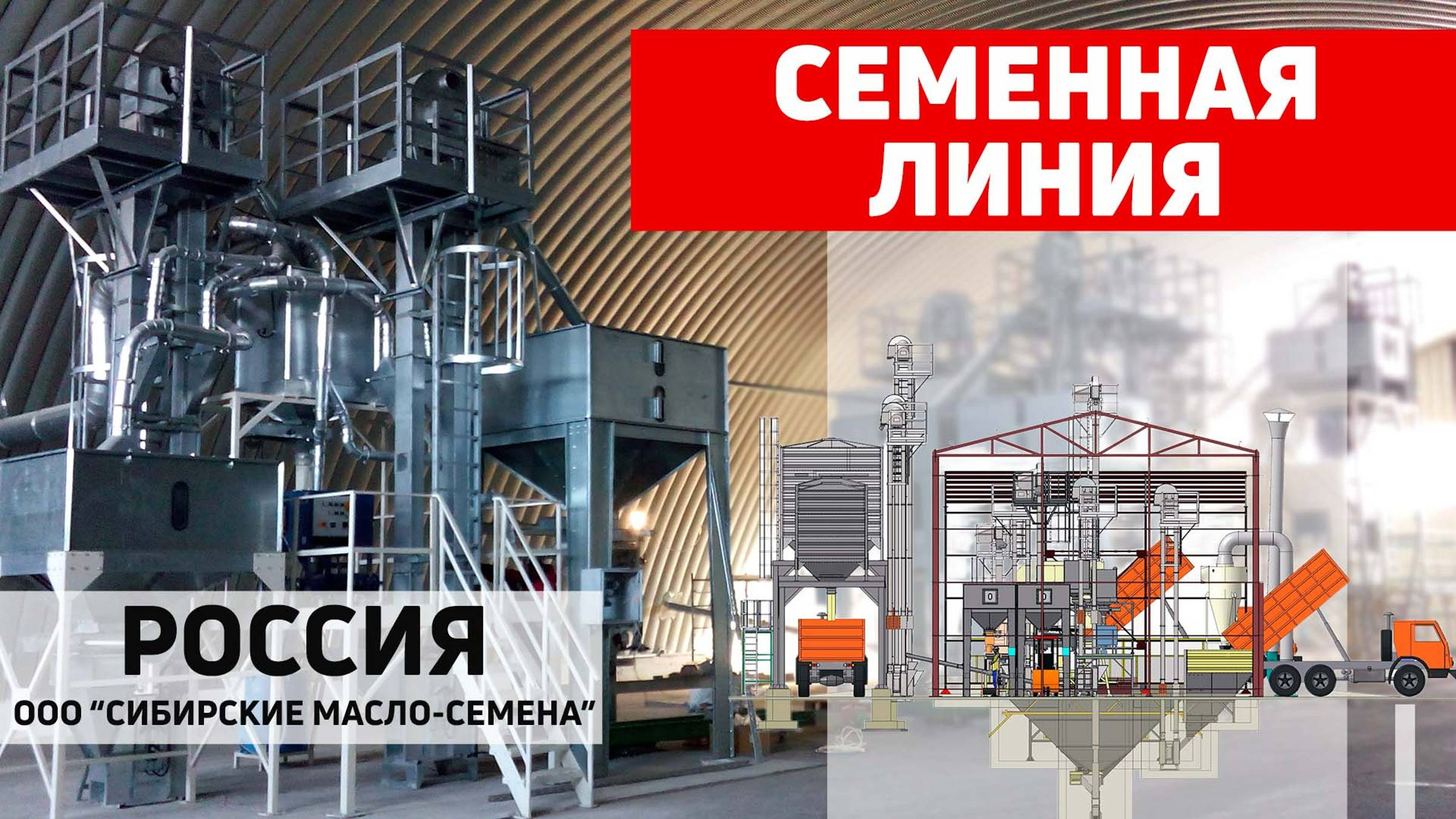 Обзор семенной линии Полымя. ООО "Сибирские Масло-Семена", Сибирь