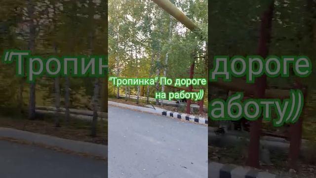 #на работу#хорошийдень