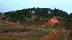 Павлово коляски 14.10.2023