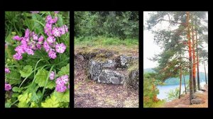 Валаам Природа