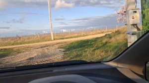 Шлагбаумы всех видов. Производство и монтаж. Автоматические и ручные. Пульты управления. Низкая цена