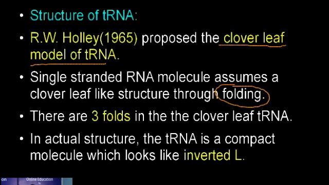 Molecular basis of inheritance Part 4
