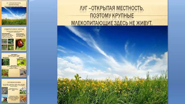 Школьные презентации по окружающему миру 4 класс. Планета знаний.  School presentations