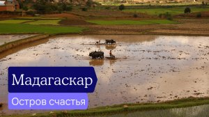 Мадагаскар — остров счастья