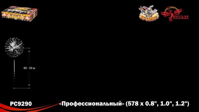 Салют "Профессиональный" 1.0"-1.2"-2.0"х578, арт. РС9290 
Салютыч