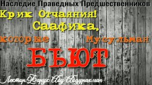 КРИК ОТЧАЯНИЯ! СААФИКА, КОТОРЫЕ БЬЮТ МУСУЛЬМАН