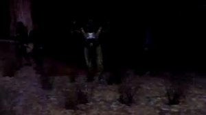 Stalker Зов Припяти приход в Припять с командой