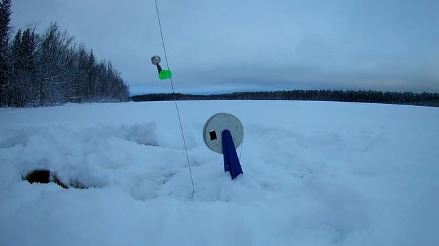 рыбалка жерлицами 31 декабря 2018