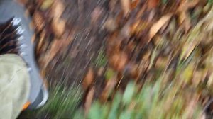 Трекинговая Обувь Ботинки Zamberlan Baltoro GTX Тест Прогулка Природа 9 Октября 23 г. Понедельник