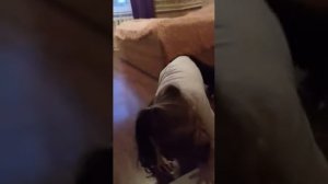 Девочка на маминых каблуках