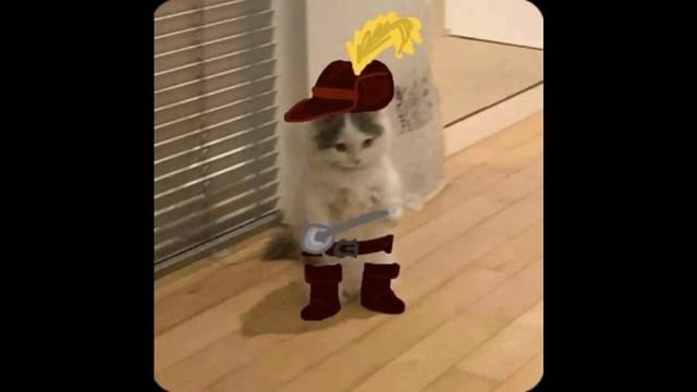 Puss in Boots - Fearless Hero (Hero Version) I (Slowed + Reverbed) смотреть онлайн