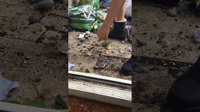 Bailey Sam girl crush trample balpp work Handcuffs in nike smeatedb смотреть онлайн