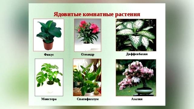 Профилактика травматизма у детей