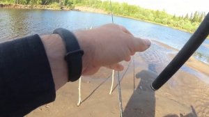 Рыбалка на реке Сысола в мае/Первые трофеи на фидер