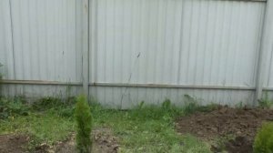 дачная жизнь.