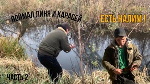 Есть налим / наловил карасей / попался линь (часть 2)