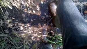 Walking in mud in bekina litefield wellies