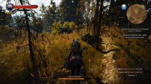 witcher3 Улучшенные сапоги школы Грифона