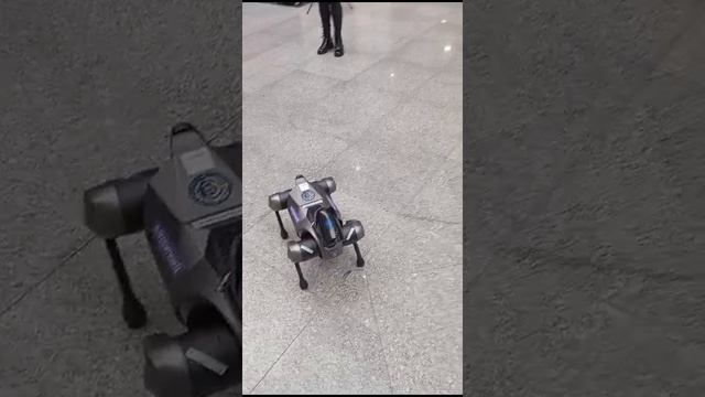 ИИ в виде собаки