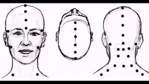 Ларингит, гайморит, как помочь себе пиявками.