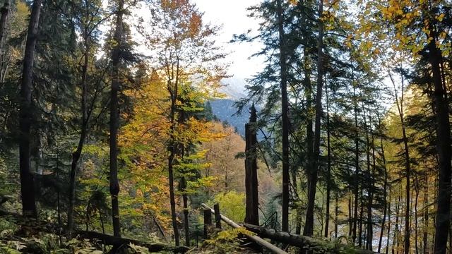 Домбай осень 2024