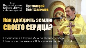 Как удобрить землю своего сердца? / Протоиерей Олег Шалимов / 27.10.24