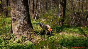 Жизнь Снорка