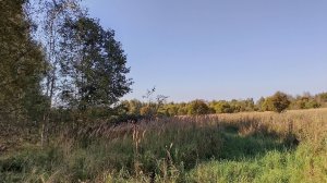 Уй сотилади 60 кв.м. Ери 30 сотих , 800 т.руб.  Псковская обл. г Великие Луки