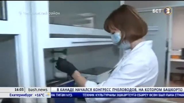 В Башкирии урожай сахарной свеклы проверили на пестициды смотреть онлайн