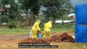 Лихорадка Эбола. Часть 2