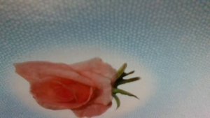 Мы бедные, мы бедные, мы бедные пираты-Песня пиратов 1(м/ф "Приключения Мюнхаузена")наброски)