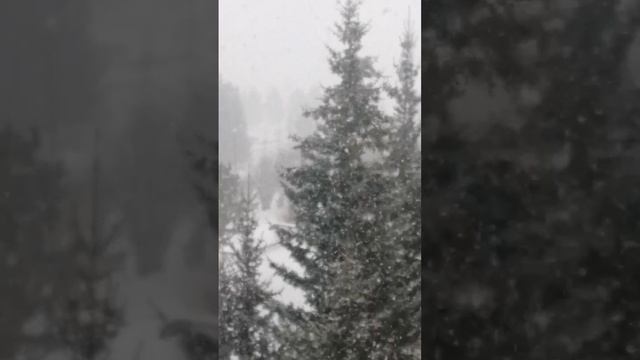 #этозимадетка
#Моментысчастья
#жизньвкайф