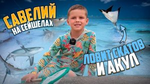 МОРСКАЯ ОХОТА НА СКАТОВ И АКУЛ В ОТКРЫТОМ ОКЕАНЕ!