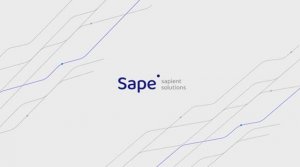 Точка опоры от Sape