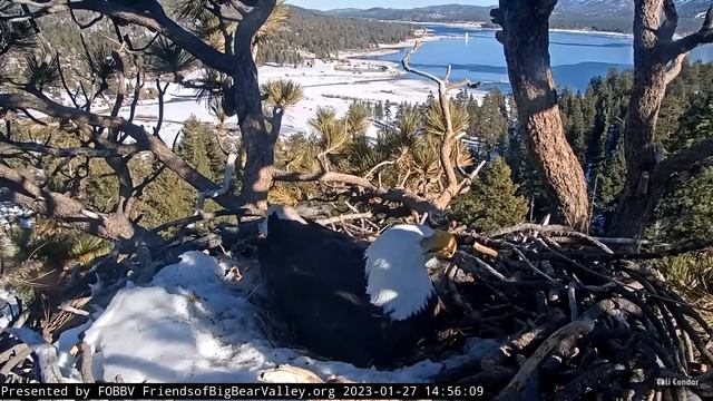 FOBBV🦅It's A Revolving Door Kind Of Fri-Yay❗️Weird Switcheroos🔄2023-01-27 смотреть онлайн