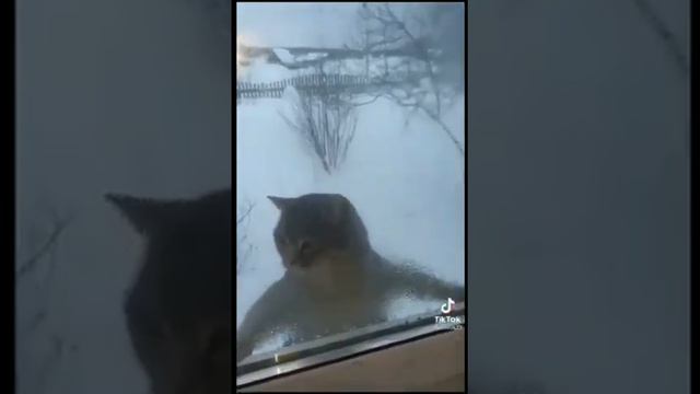 4 июня 2022 г. смотреть онлайн