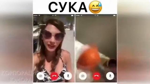 Приколы!